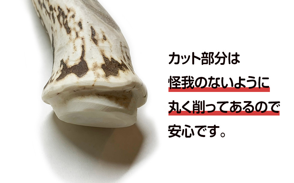 鹿の角 エゾシカ 犬のおもちゃ 鹿角さん 超大型犬用 割っていないタイプ極太根本 １本 Jalふるさと納税 Jalのマイルがたまるふるさと納税サイト