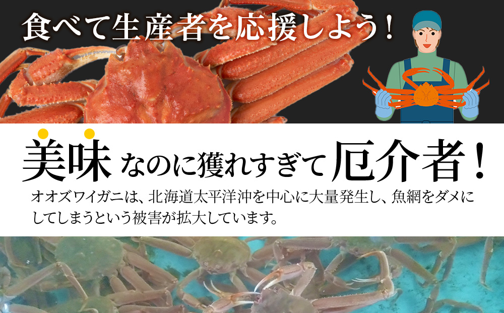縲千區閠∫伴縲鯛繧ェ繧ェ繧コ繝ッ繧、繧ャ繝 縲縺九↓縺ソ縺80gテ励縺崎コォ150gシ亥推4繝代ャ繧ッシ