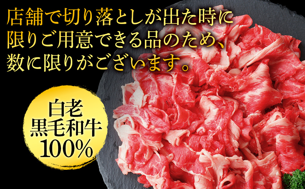 【訳あり】白老産　黒毛和牛　切り落とし　300g×2パック