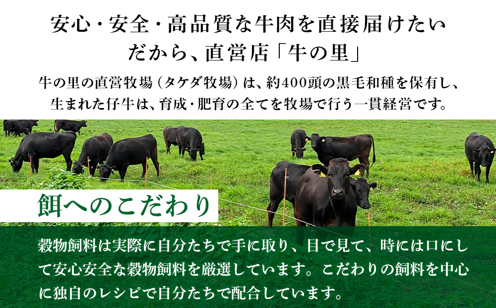 牛の里ビーフハンバーグ（110g×8個）特製ソース（8袋）の詰合せ