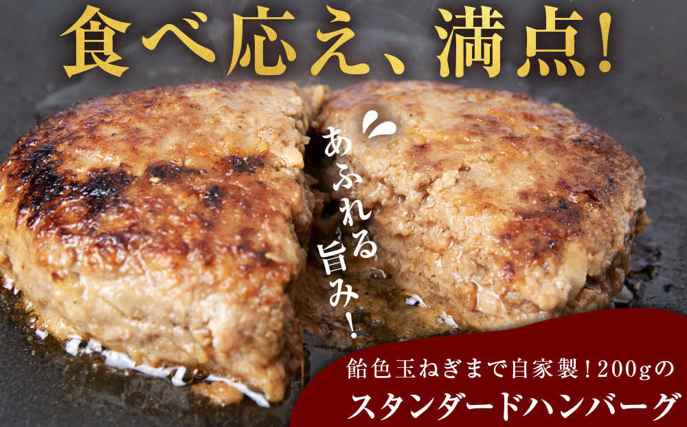 白老牛 2種 食べ比べ ハンバーグ セット 合計20個 Wチーズ・スタンダード 特製ソース 冷凍 牛肉 肉 白老