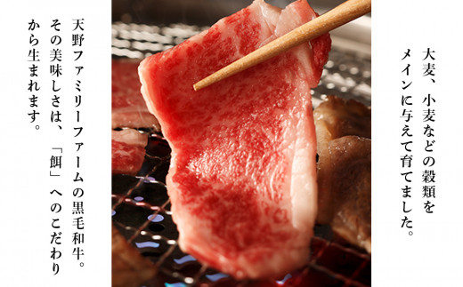 黒毛和牛 焼肉 食べ比べ セット 白老牛 特上 カルビ モモ 各500ｇ 計1kg (5・6人前) 国産牛 北海道 牛肉