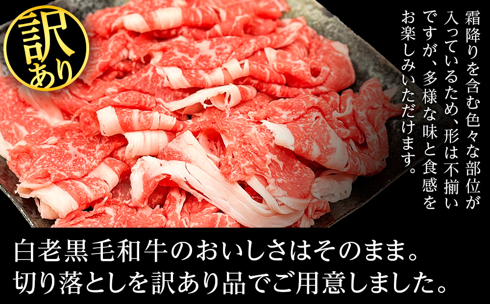 【訳あり】白老産　黒毛和牛　切り落とし　300g×3パック