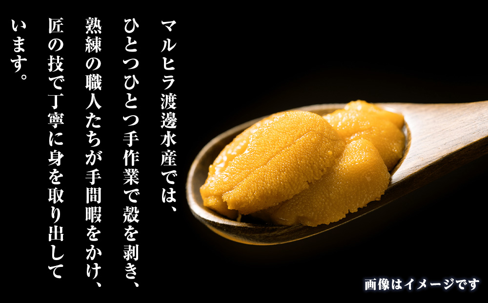 2026年発送 先行受付 ウニ本来の味が楽しめる【白老産】塩水ムラサキウニ 100g×1パック　BT007