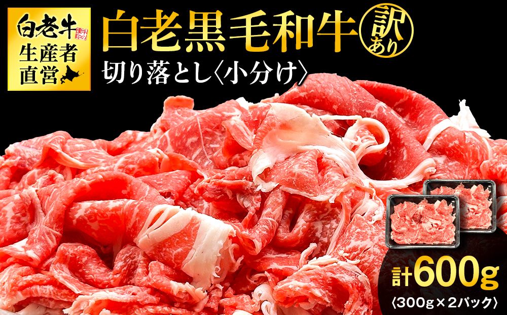 【訳あり】白老産　黒毛和牛　切り落とし　300g×2パック