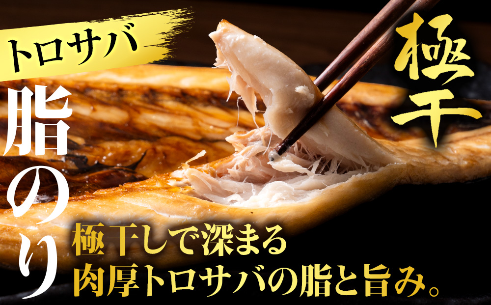 【さかな屋本舗至極のセット！】　特大とろさば・特大真ほっけ・秋刀魚・大とろ鮭　各3枚