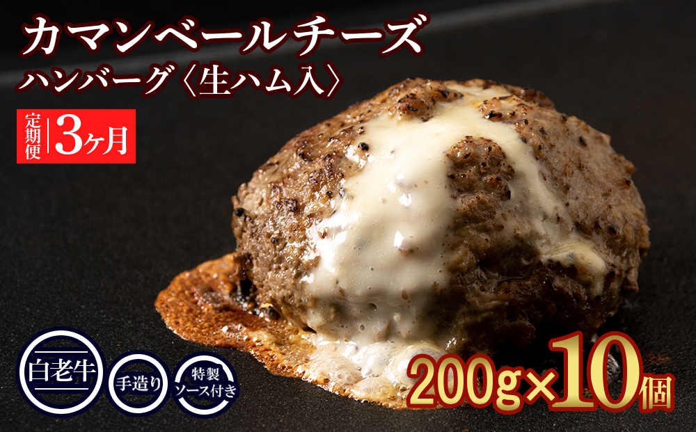 定期便３ヵ月 お楽しみ 北海道産 白老牛 カマンベールチーズハンバーグ 10個セット 冷凍 チーズ イン ハンバーグ