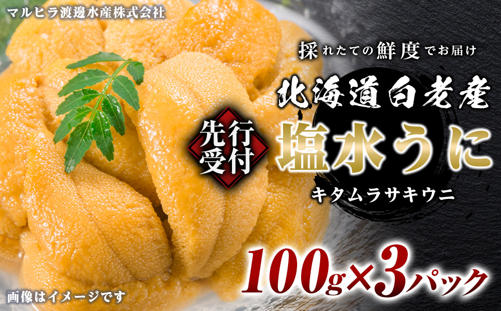 2026年発送 先行受付 ウニ本来の味が楽しめる【白老産】塩水ムラサキウニ 100g×3パック BT009
