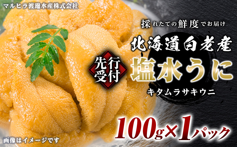 2026年発送 先行受付 ウニ本来の味が楽しめる【白老産】塩水ムラサキウニ 100g×1パック　BT007