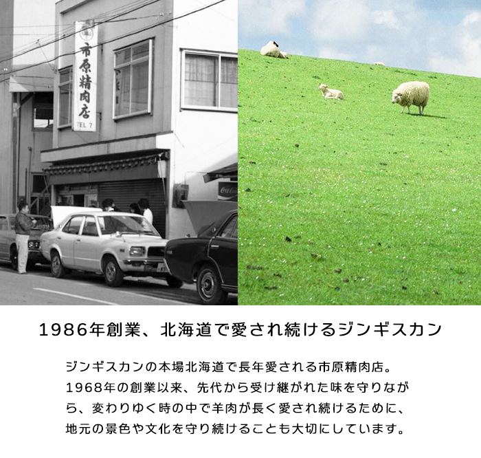 【隔月全6回定期便】ジンギスカン2種セット 計1.6kg（熟成ロース400gx2・ロース400g×2）《厚真町》【有限会社市原精肉店】 ジンギスカン 羊肉 マトン ロース 焼肉用 味付き 小分け 冷凍配送 北海道 定期便[AXAA016]