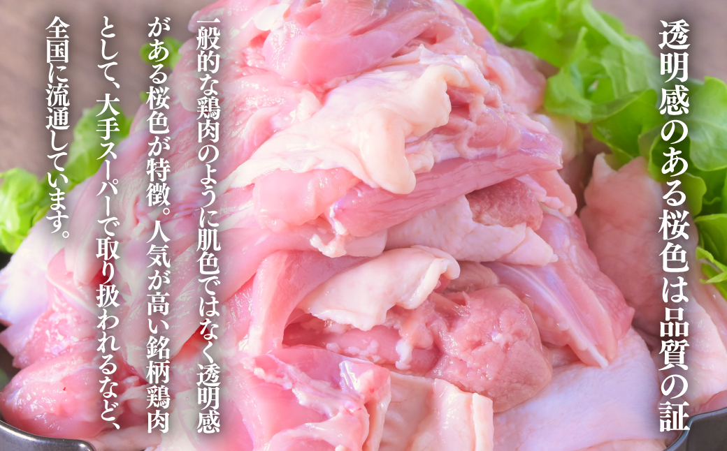 むね肉 6kg 「桜姫」国産ブランド鶏 ムネ ビタミンEが3倍 40年の実績　冷凍 北海道 厚真町 国産 【送料無料】