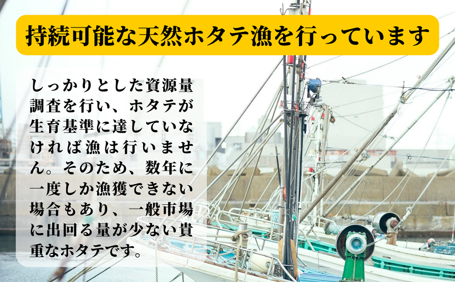 《数量限定！》【冷凍ハーフシェル】北海道厚真町産純天然半殻つき冷凍ホタテ2袋セット！