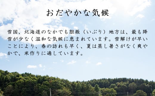 《令和5年度産 新米》北海道JAとまこまい広域のお米900g 2点セット！「さくら米･ゆめぴりか」 《厚真町》【とまこまい広域農業協同組合】 [AXAB057]