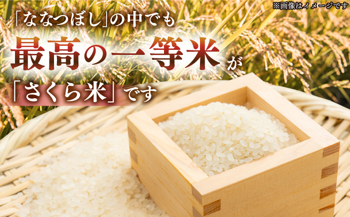 【全2回定期便】【令和6年産新米】【特A】一等米 さくら米（ななつぼし）10kg《厚真町》【とまこまい広域農業協同組合】  米 お米 白米 ななつぼし 特A 一等米 北海道[AXAB067]