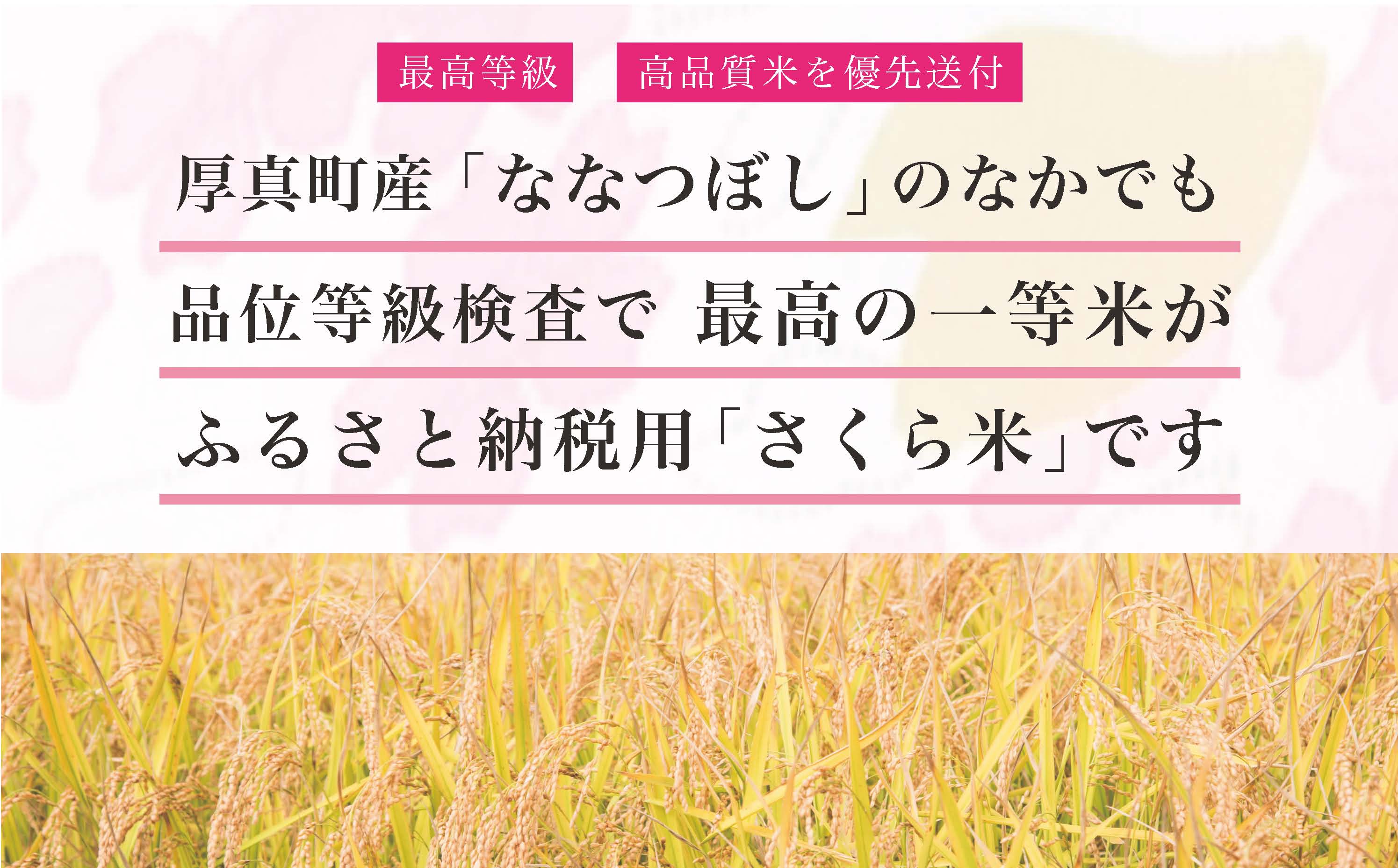 〈令和6年産 新米〉厚真のブランド米「さくら米（ななつぼし）【無洗米】」1年間毎月10㎏