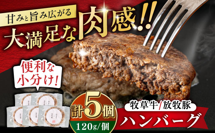 【牧草牛×放牧豚】ハンバーグ 5個 【GOODGOOD株式会社】 ハンバーグ 牛肉 豚肉 小分け 冷凍配送 北海道 [AXBP006]