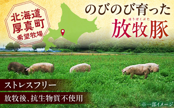 【全12回定期便】【結着剤・発色剤・保存料不使用】 放牧豚 ソーセージ11種 ボリュームセット《厚真町》【ファーマーズファクトリー株式会社】 ソーセージ ウインナー チョリソー 粗挽き 無塩せき 冷凍配送 セット 詰め合わせ 北海道[AXBA029]