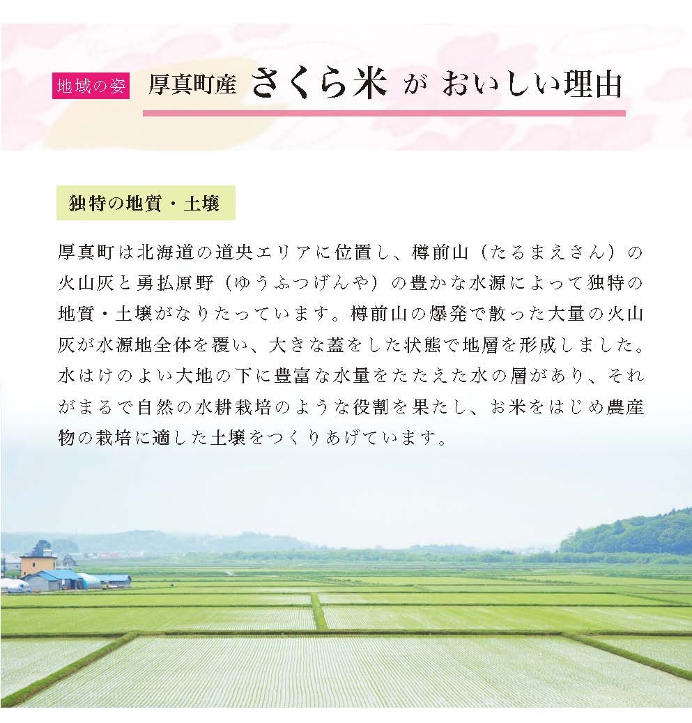 〈令和6年産 新米〉北海道あつまのブランド米「さくら米」　１０kg