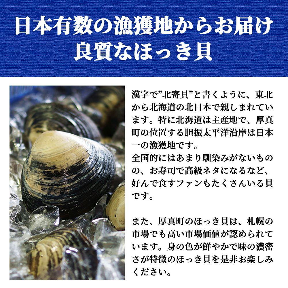 北海道　厚真町近海で獲れた活ほっき貝　10～15個セット