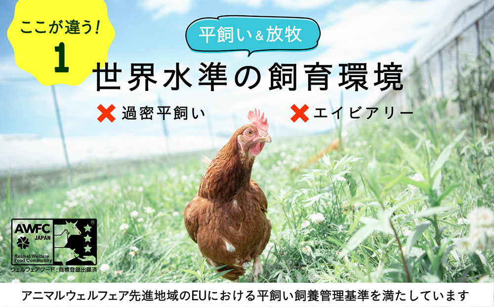 こだわりの無投薬･平飼い有精卵 80個《厚真町》【テンアール株式会社】 たまご 卵 鶏卵 玉子 生卵 平飼い 北海道 定期便 [AXAN121]