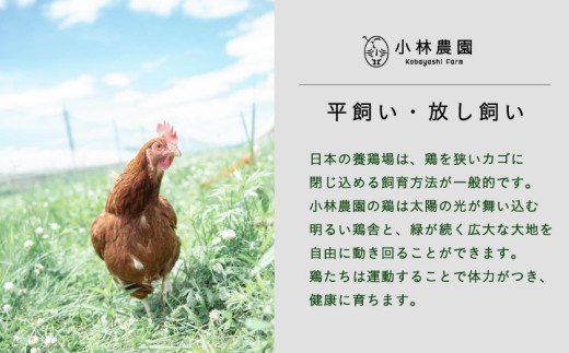 【全3回定期便】親鶏のスパイスカレー 5個（辛口）《厚真町》【テンアール株式会社】 カレー スパイスカレー 辛口 鶏 鶏肉 平飼い 冷凍配送 北海道 [AXAN086]