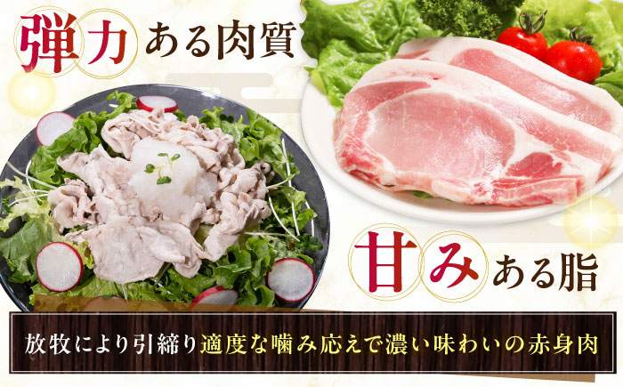 放牧豚 モモチャーシュー 計900g（225g×4）《厚真町》　【ファーマーズファクトリー株式会社】 [AXBA146]