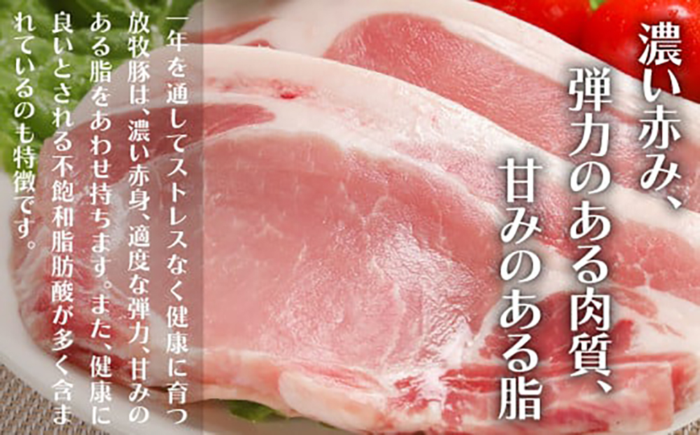 【全2回定期便】【簡易包装】放牧豚 スライス肉3種セット（ロース2種/モモ） 《厚真町》【ファーマーズファクトリー株式会社】 ロース モモ 豚肉 とんかつ しゃぶしゃぶ ステーキ 北海道 セット 詰め合わせ[AXBA070]