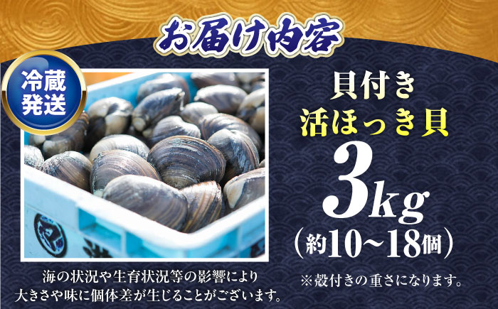 厚真町近海で獲れた 活ほっき貝 3kg（約10〜18個）《厚真町》【鵡川漁業協同組合】 ほっき ほっき貝 ホッキ ホッキ貝 北寄貝 海鮮 冷蔵配送 北海道 [AXAL003]