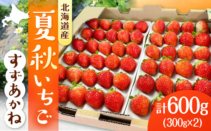 [先行予約 2026年7月以降順次発送]夏秋イチゴ「すずあかね」計600g [厚真町][こばやしいちご農園] [AXBT003]