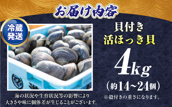 厚真町近海で獲れた 活ほっき貝 4kg（約14〜24個）《厚真町》【鵡川漁業協同組合】 ほっき ほっき貝 ホッキ ホッキ貝 北寄貝 海鮮 冷蔵配送 北海道 [AXAL006]