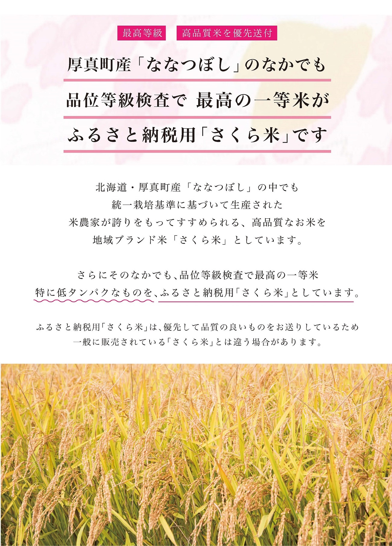 〈令和6年産 新米〉北海道あつまのブランド米「さくら米」　１０kg