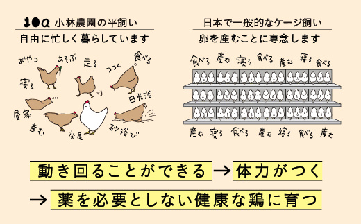 【全3回定期便】こだわりの無投薬･平飼い有精卵 50個/月 《厚真町》【テンアール株式会社】 [AXAN001]