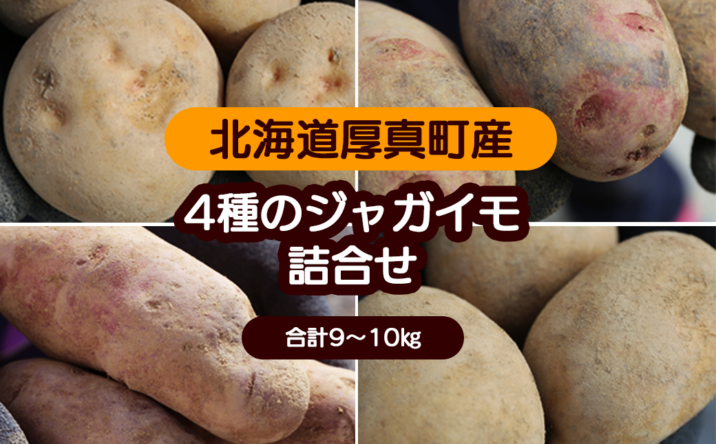 令和6年北海道厚真産・魅惑の４種類じゃがいも食べ比べセット《数量限定》キタアカリ、デストロイヤー、ノーザンルビー、こがね丸