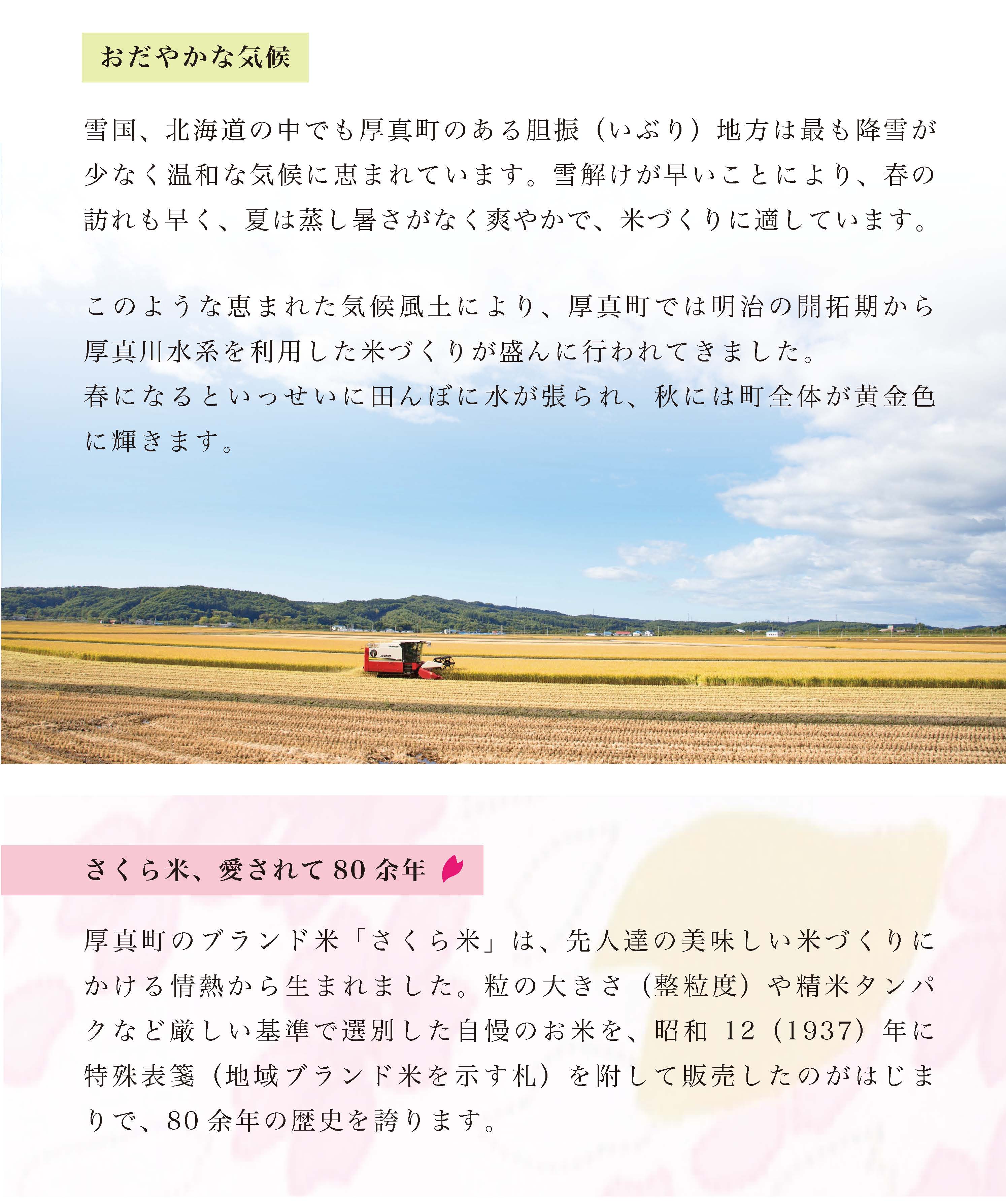 北海道あつまのブランド米「さくら米」1年毎月５kg定期便コース