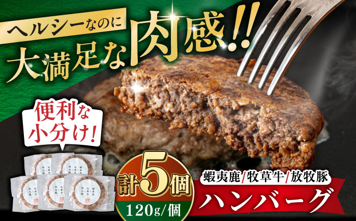 【蝦夷鹿×牧草牛×放牧豚】ハンバーグ 5個 【GOODGOOD株式会社】 ハンバーグ 鹿肉 牛肉 豚肉 小分け 冷凍配送 北海道 [AXBP003]