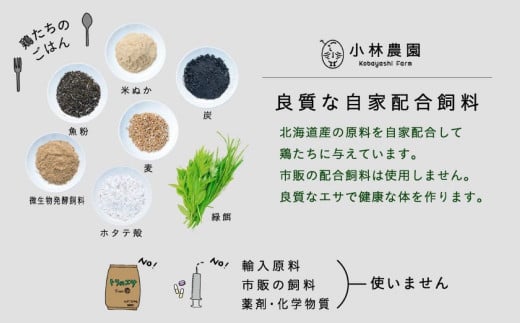 【全12回定期便】親鶏のスパイスカレー 5個（辛口）《厚真町》【テンアール株式会社】 カレー スパイスカレー 辛口 鶏 鶏肉 平飼い 冷凍配送 北海道 [AXAN088]