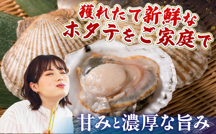 ＜期間限定受付＞【訳あり！】漁港直送！天然貝殻付き活ホタテ2.5kg《厚真町》　【鵡川漁業協同組合】　ホタテ 活ホタテ 帆立 海鮮 冷蔵配送 北海道 [AXAL007]
