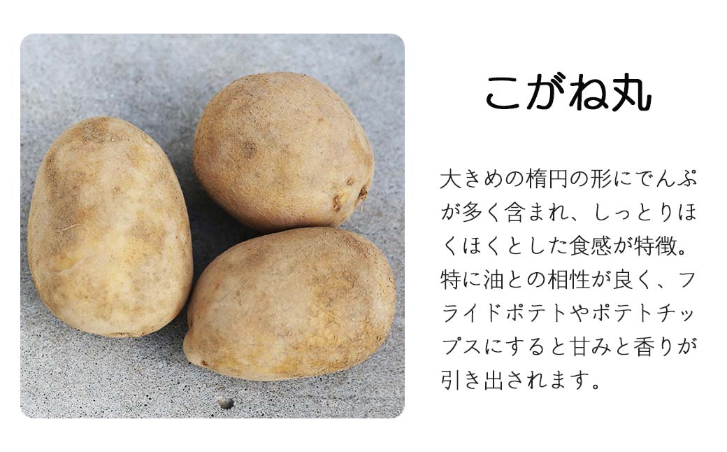 令和6年北海道厚真産・魅惑の４種類じゃがいも食べ比べセット《数量限定》キタアカリ、デストロイヤー、ノーザンルビー、こがね丸