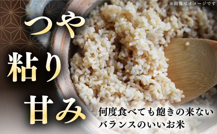 【玄米】【新米 令和7年産】【特A】 一等米 さくら米（ななつぼし）10kg《厚真町》【とまこまい広域農業協同組合】 米 お米 玄米 ご飯 ななつぼし 一等米 特A 北海道 [AXAB035]