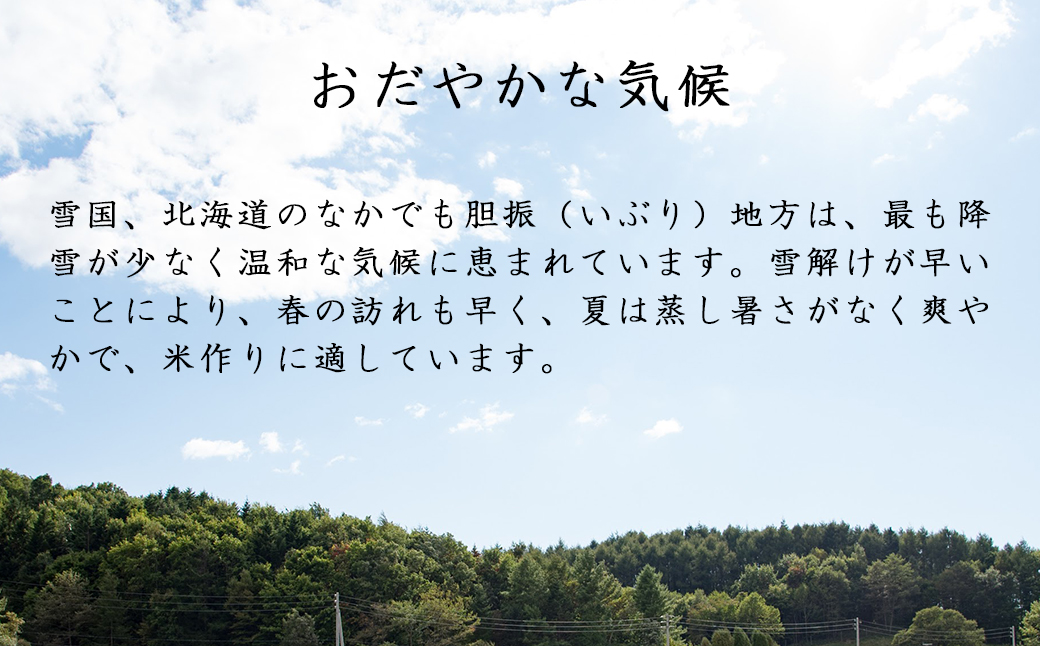 〈令和6年産 新米〉たーんとうまい「ななつぼし」１０kg