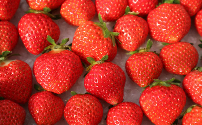 【先行予約 2026年7月以降順次発送】夏秋イチゴ「すずあかね」計600g 《厚真町》【こばやしいちご農園】 [AXBT003]