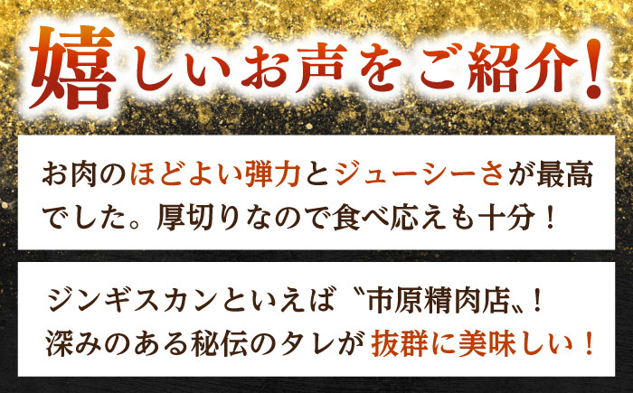 【隔月全6回定期便】ジンギスカン2種セット 計1.6kg（あづまジンギスカン400gx2・熟成ロース400gx2）【Bセット】《厚真町》【有限会社市原精肉店】 ジンギスカン 羊肉 マトン ロース 焼肉用 味付き 小分け 冷凍配送 北海道 [AXAA039]