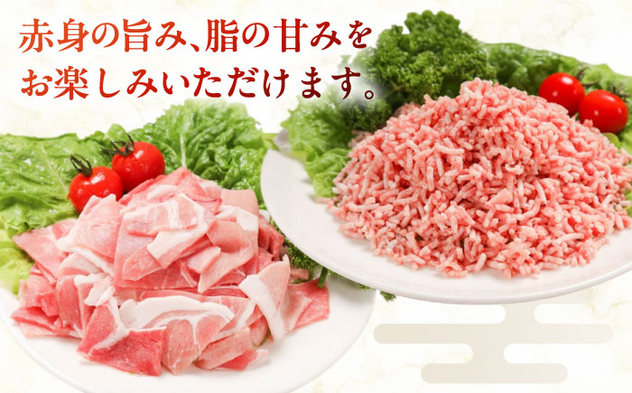 放牧豚 切落し・挽き肉 セット 計2kg（250g×8） 《厚真町》【ファーマーズファクトリー株式会社】 [AXBA160]