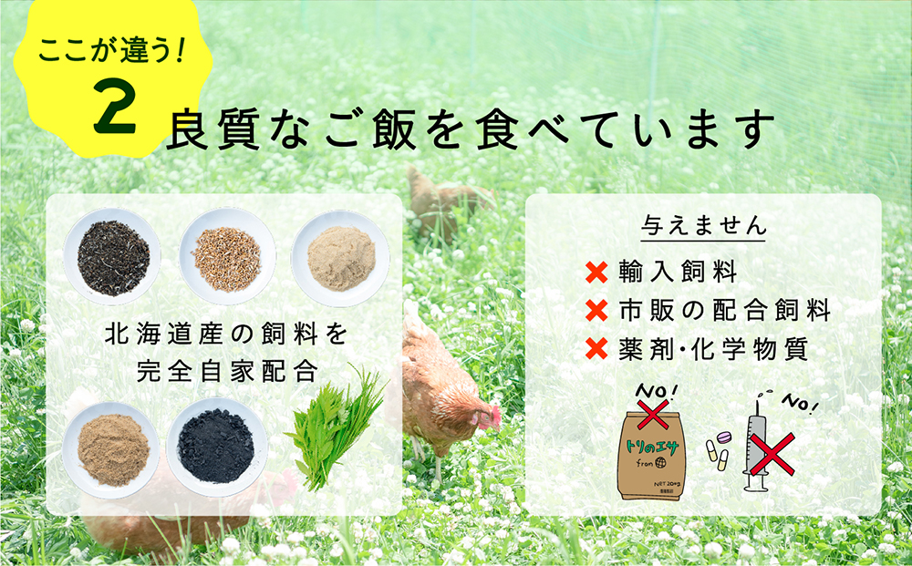 こだわりの無投薬･平飼い有精卵 100個《厚真町》【テンアール株式会社】 たまご 卵 鶏卵 玉子 生卵 平飼い 北海道 定期便  [AXAN035]