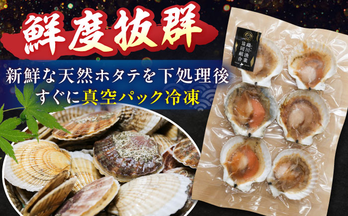 【数量限定】純天然 半殻つき 冷凍ホタテ 2袋セット《厚真町》【鵡川漁業協同組合】 ほたて ホタテ 帆立 海鮮 冷凍配送 北海道 [AXAL001]