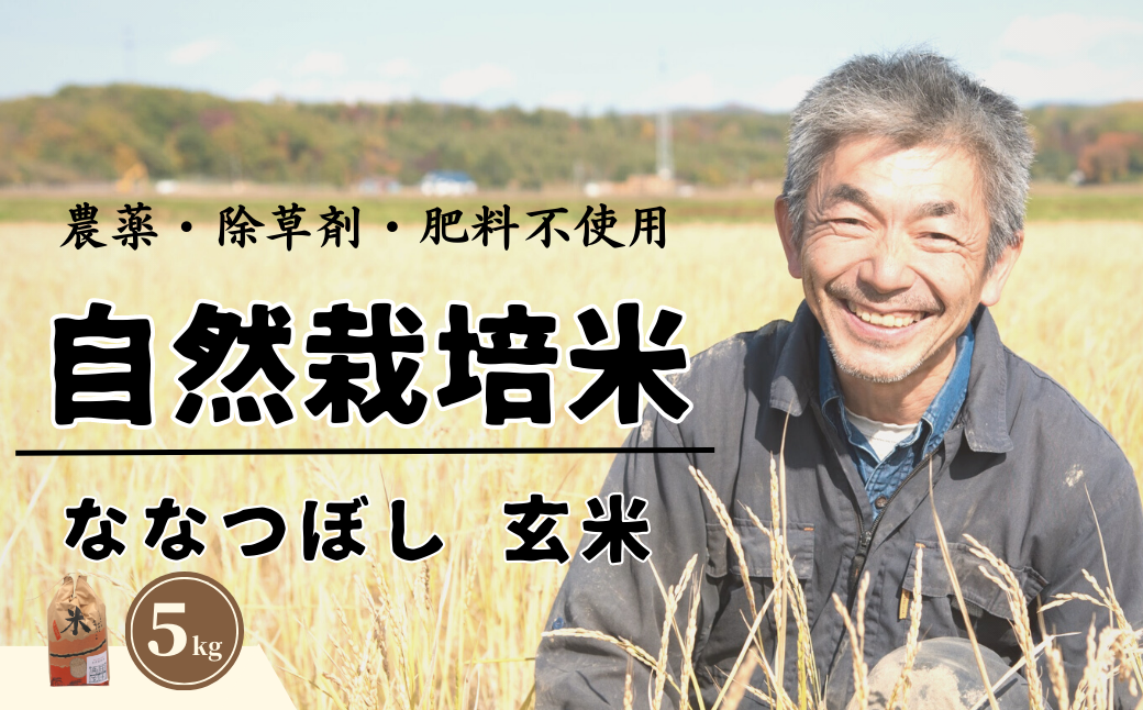 ＜令和6年産新米＞北海道で育った自然栽培米「角田玄米」 5kg 《厚真町》【カクタファーム】 [AXAR001]