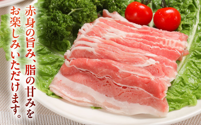 放牧豚バラしゃぶしゃぶ 計800g（200g×4）《厚真町》　【ファーマーズファクトリー株式会社】 [AXBA128]