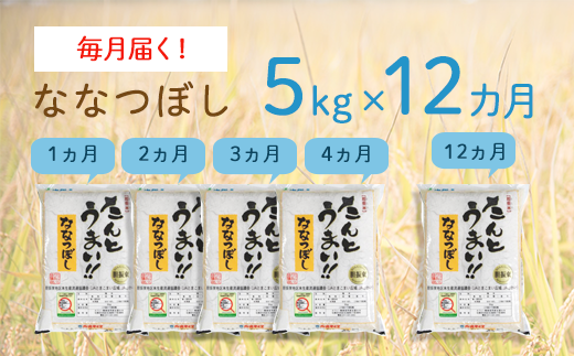 〈令和6年産 新米〉１２ヵ月！毎月届く定期便ななつぼし５kg