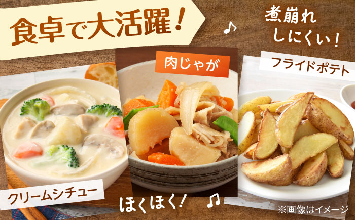 【先行予約商品】【5月中旬から発送予定！】氷室メークイン2kg《厚真町》【とまこまい広域農業協同組合】 じゃがいも ジャガイモ 芋 メークイン 野菜 先行予約 北海道 [AXAB048]