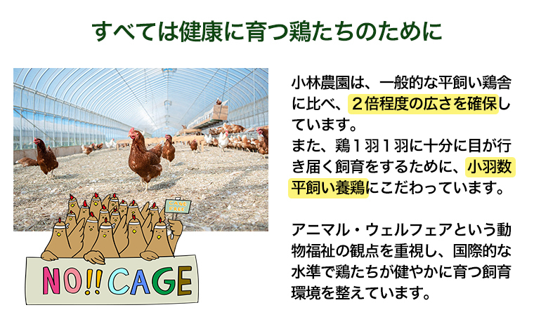 【全3回定期便】こだわりの無投薬･平飼い有精卵 50個/月 《厚真町》【テンアール株式会社】 [AXAN001]